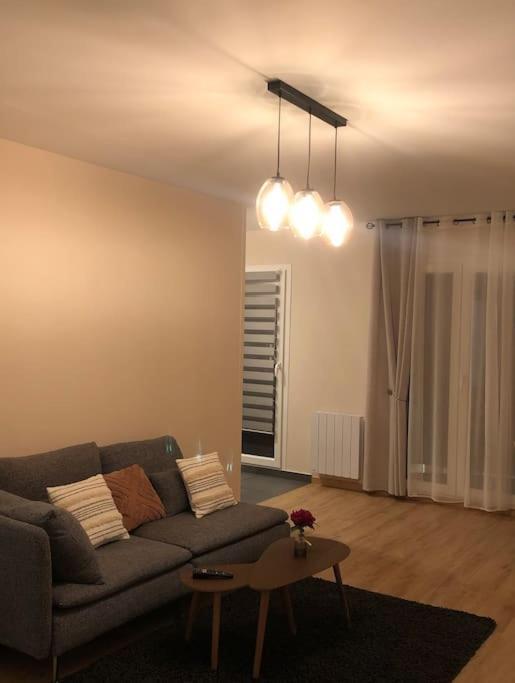 Superbe Appartement Tout Equipe, Le Nid D'Eva A Metz Gare, Parking Prive, Balcon, F2, 50M2, 3P エクステリア 写真