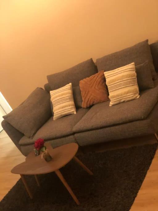 Superbe Appartement Tout Equipe, Le Nid D'Eva A Metz Gare, Parking Prive, Balcon, F2, 50M2, 3P エクステリア 写真
